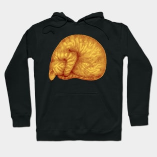 Ginger Introvert Hoodie